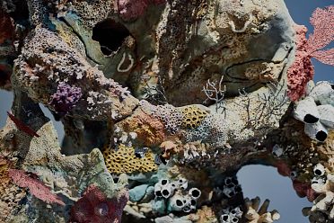 Damien Hirst in mostra a Venezia: Treasures from the wreck of the unbelievable