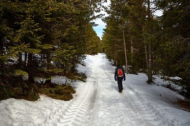 Passeggiata invernale alla Baita Saltner (Saltnerhütte) sul Renon