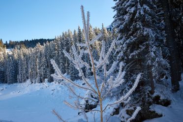 Passeggiata da Obereggen al lago di Carezza con la neve