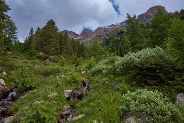 Val Martello sino ai piedi del Cevedale