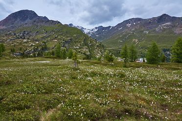 Val Martello sino ai piedi del Cevedale
