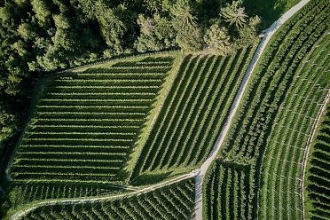 50 sfumature di verde in alta valle di Non - foto e video
