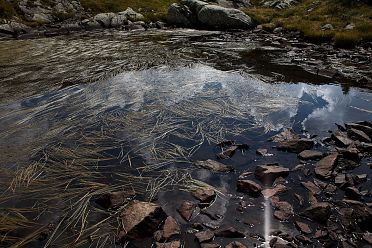 Escursione al passo Rolle, Cavallazza e laghi di Colbricon