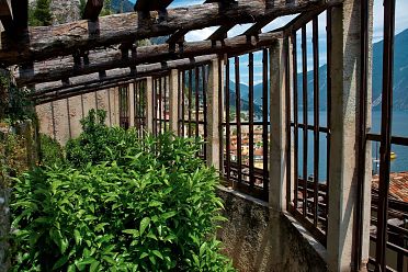 Limonaie del Garda