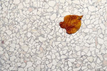 Photoblog