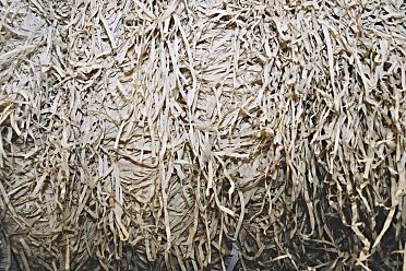 L'infinita fine delle cose