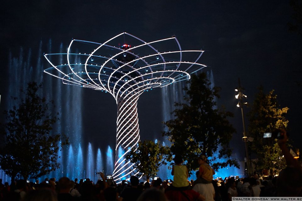 IMG_4476 Expo2015 Milano foto