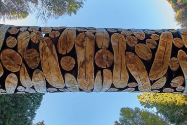 Arte Sella l'arte contemporanea nella natura