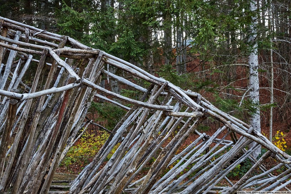 Alveare – omaggio alla Rouche di Montparnasse di Daniele Salvalai, 2009 Arte Sella l'arte contemporanea nella natura