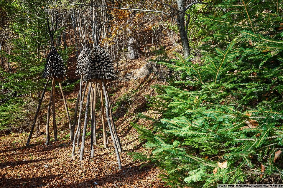 Case per Baroni Rampanti di Roberto Conte, 2015 Arte Sella l'arte contemporanea nella natura