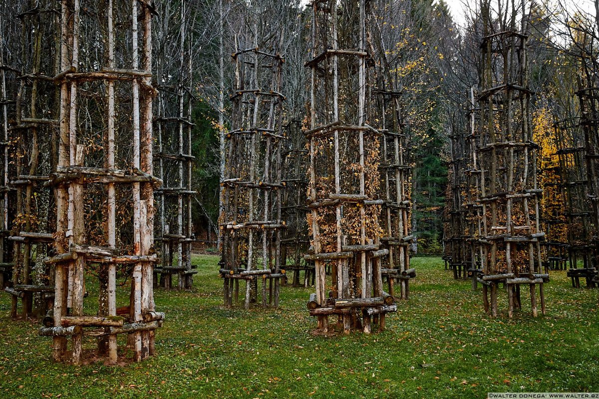 Cattedrale Vegetale di Giuliano Mauri, 2001 Arte Sella l'arte contemporanea nella natura