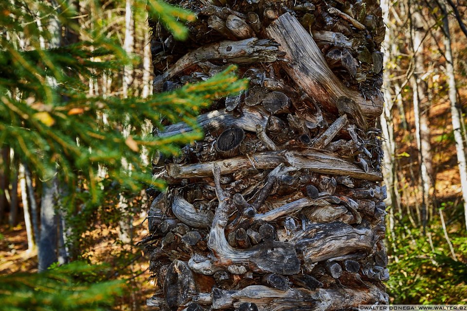 Colonna di Paul Feichter, 2002 Arte Sella l'arte contemporanea nella natura