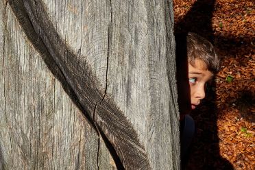 Arte Sella l'arte contemporanea nella natura