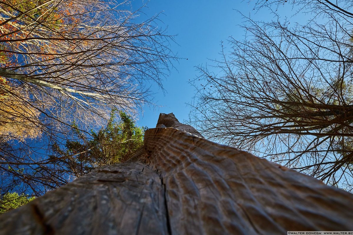 Filo d’erba di Johann Feilacher, 2002 Arte Sella l'arte contemporanea nella natura