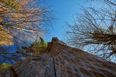 Arte Sella l'arte contemporanea nella natura