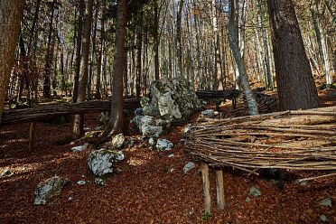 Arte Sella l'arte contemporanea nella natura