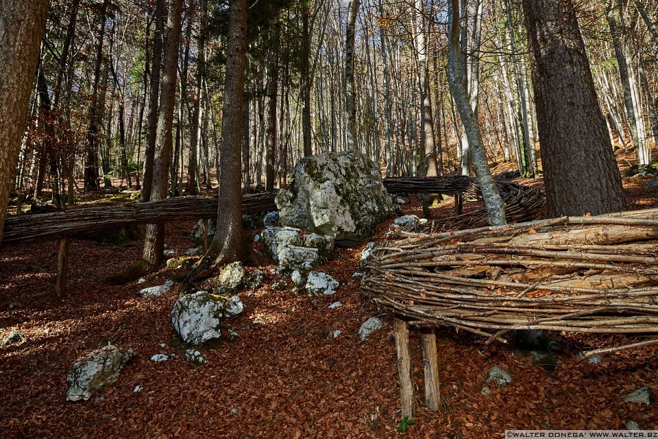Flusso di Armin Schubert, 2000 Arte Sella l'arte contemporanea nella natura