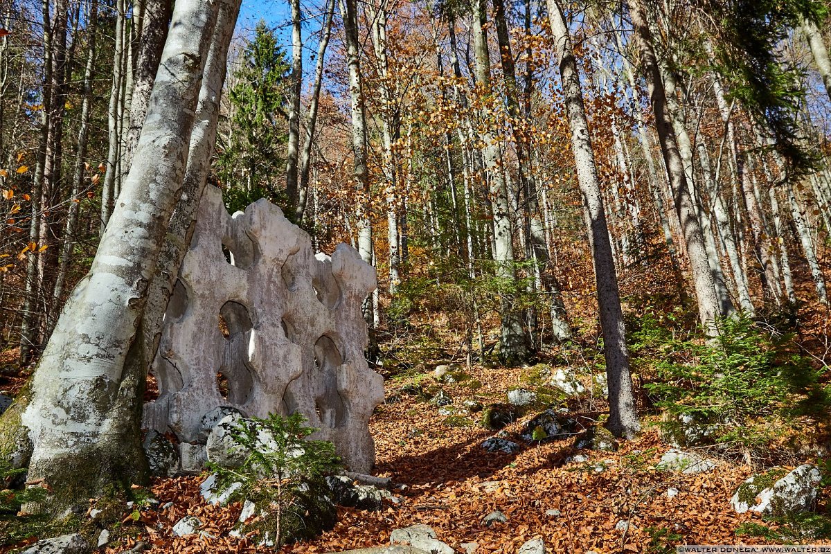 Fori elicoidali di Rinus Roelofs, 2010 Arte Sella l'arte contemporanea nella natura