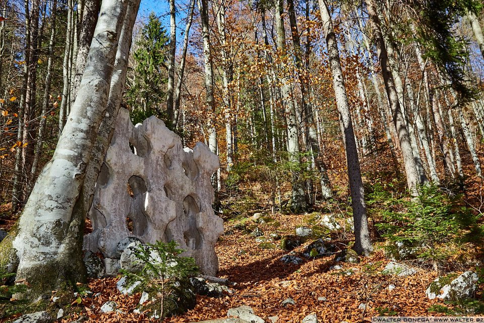 Fori elicoidali di Rinus Roelofs, 2010 Arte Sella l'arte contemporanea nella natura