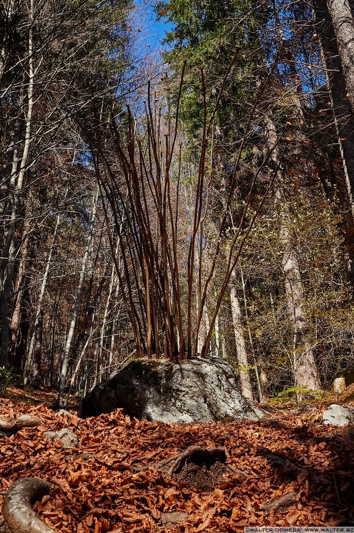 Germinazione di Gabriele Jardini, 2004 Arte Sella l'arte contemporanea nella natura