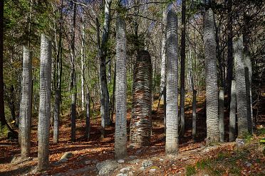 Arte Sella l'arte contemporanea nella natura