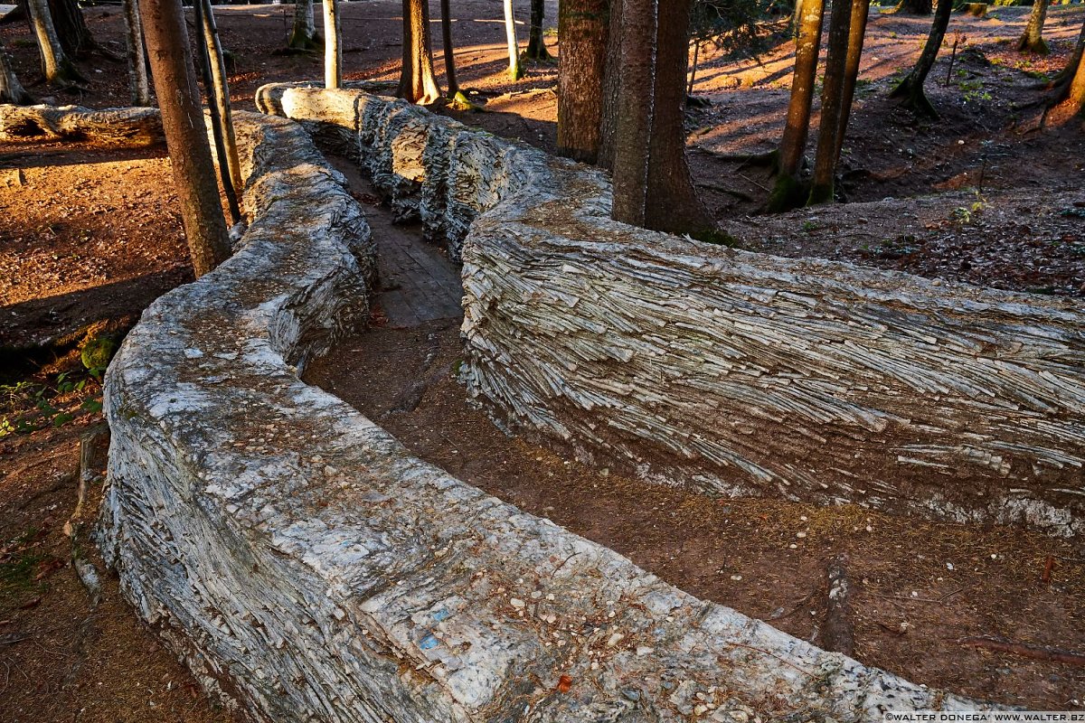 Ponte II di Steven Siegel, 2009 Arte Sella l'arte contemporanea nella natura