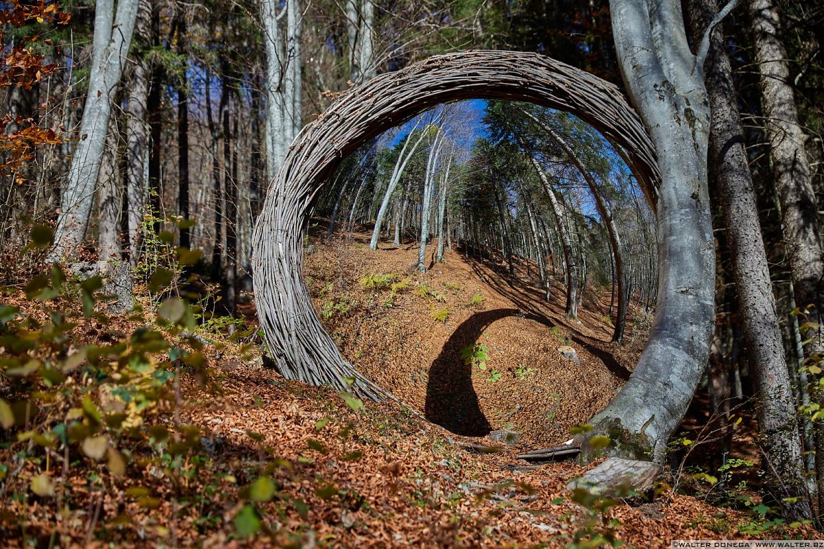 Rotazione di Paul Feichter, 2011 Arte Sella l'arte contemporanea nella natura