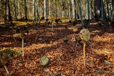 Arte Sella l'arte contemporanea nella natura