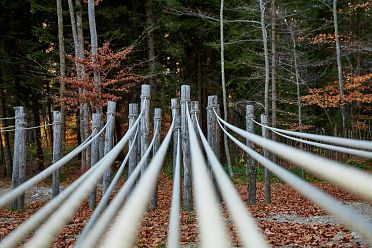 Arte Sella l'arte contemporanea nella natura