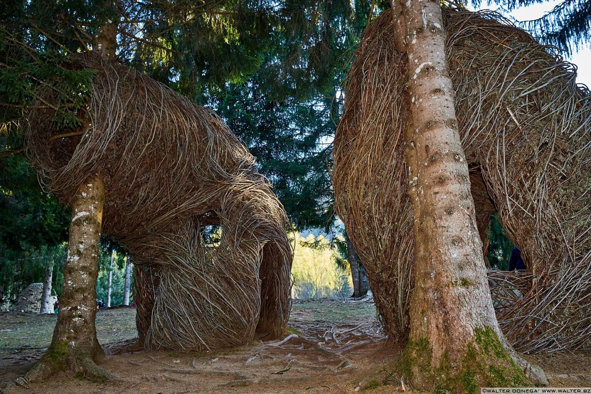 Tana Libera Tutti di Patrick Dougherty, 2011 Arte Sella l'arte contemporanea nella natura