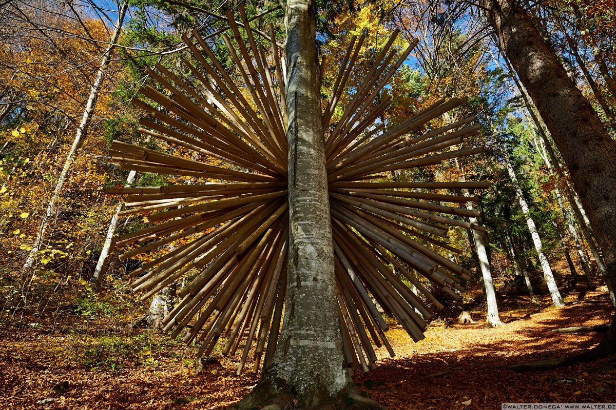 Transizione di Luca Petti, 2013 Arte Sella l'arte contemporanea nella natura