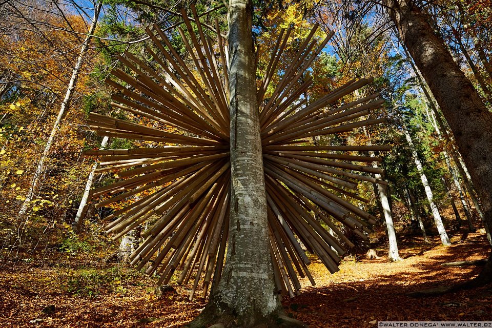 Transizione di Luca Petti, 2013 Arte Sella l'arte contemporanea nella natura