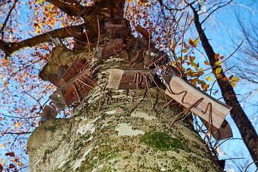 Arte Sella l'arte contemporanea nella natura