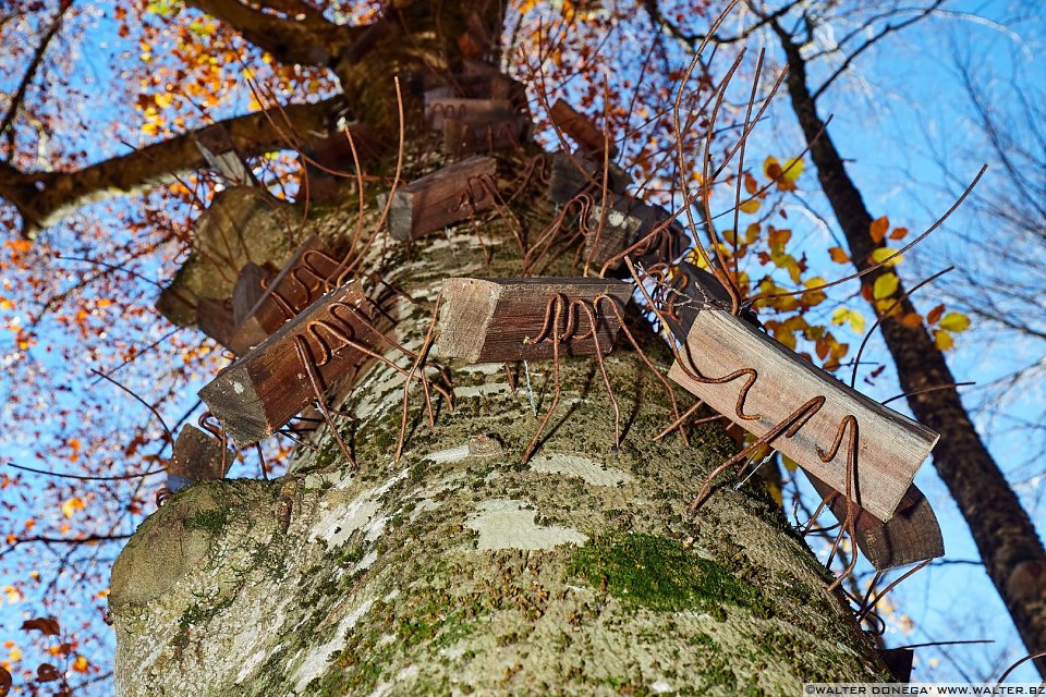 Tutti in alto! di Frank Nordiek, Wolfgang Buntrock, 2015 Arte Sella l'arte contemporanea nella natura