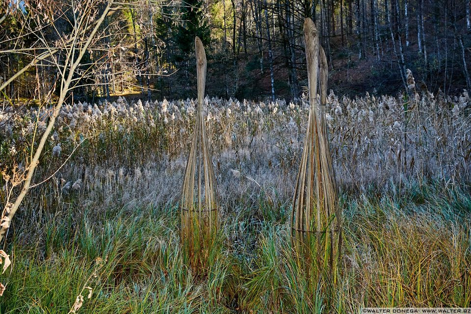 Wassergehäuse/Watercore di Roger Rigorth, 2013 Arte Sella l'arte contemporanea nella natura