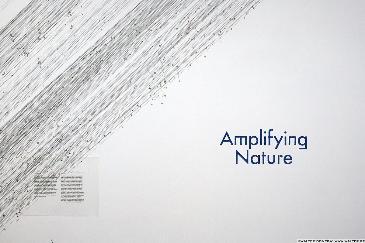 Biennale di Architettura Venezia 2018 - Freespace