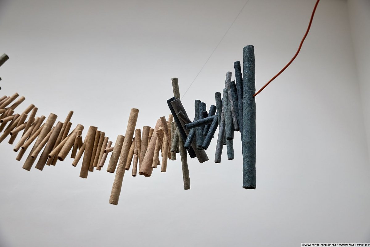 Biennale di Architettura Venezia 2018 - Freespace