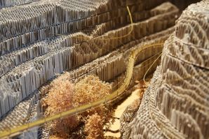 Biennale di Architettura Venezia 2018 - Freespace
