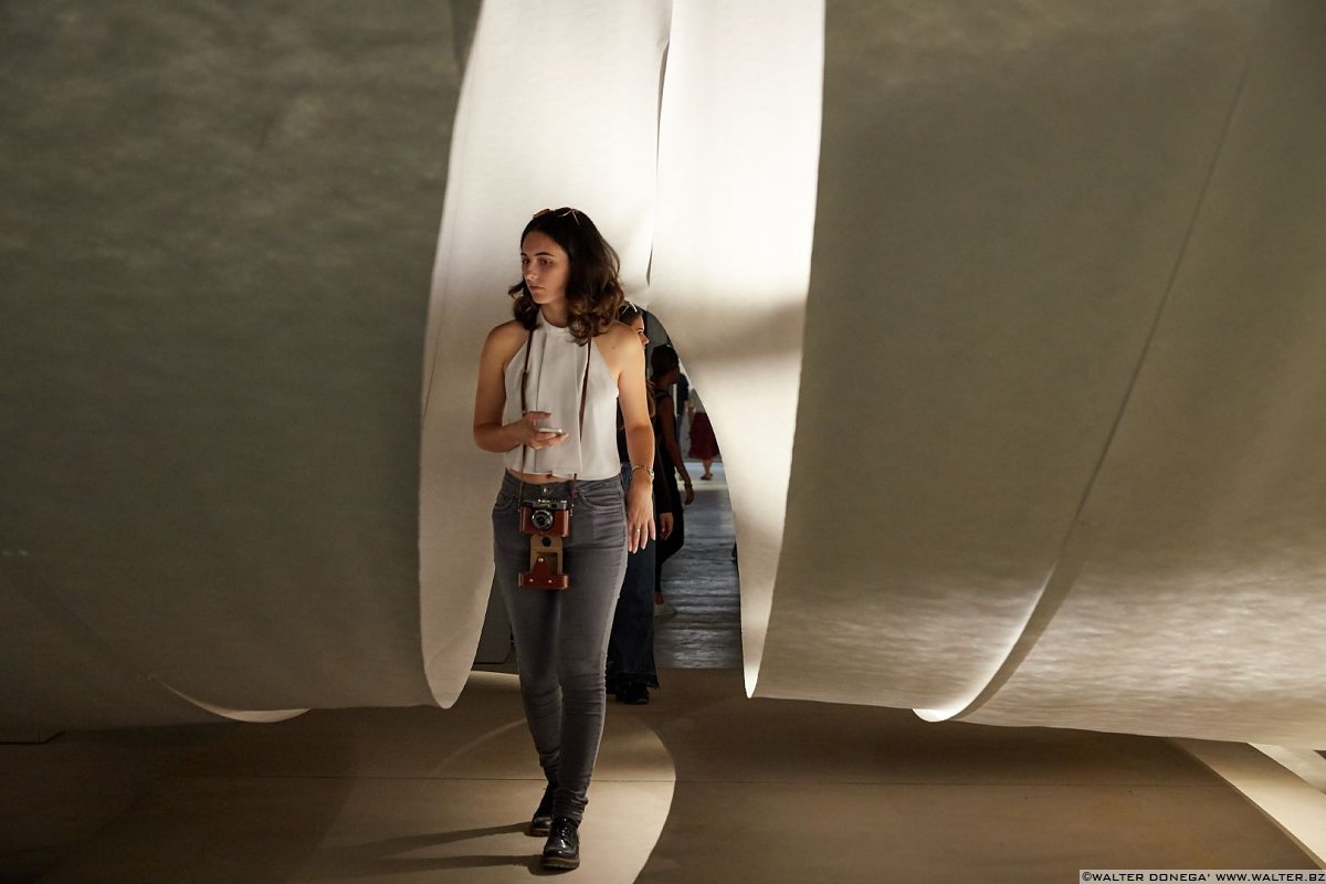 Biennale di Architettura Venezia 2018 - Freespace