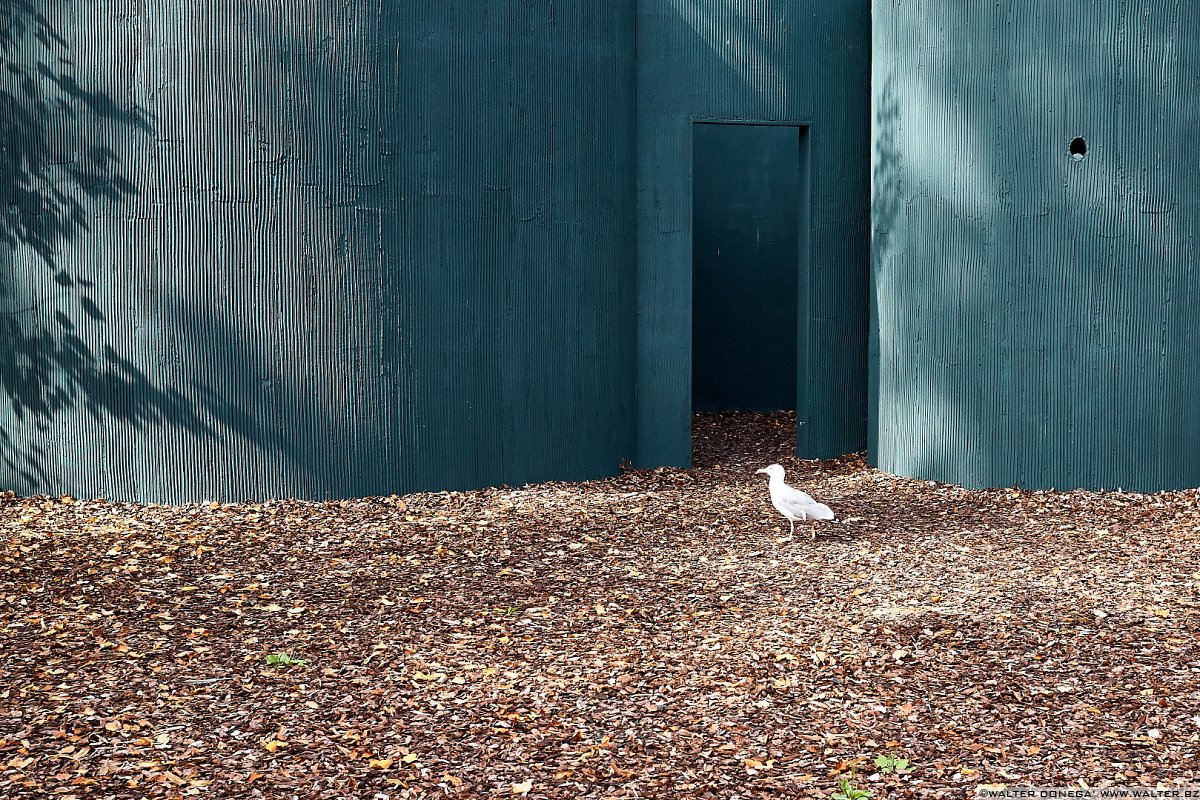 Foto racconto della Biennale di Architettura 2016: Reporting from the front