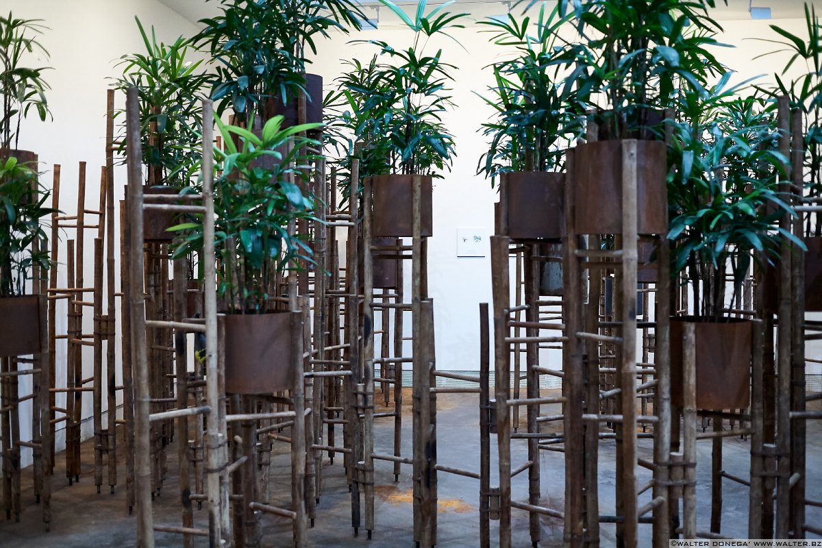 Foto racconto della Biennale di Architettura 2016: Reporting from the front