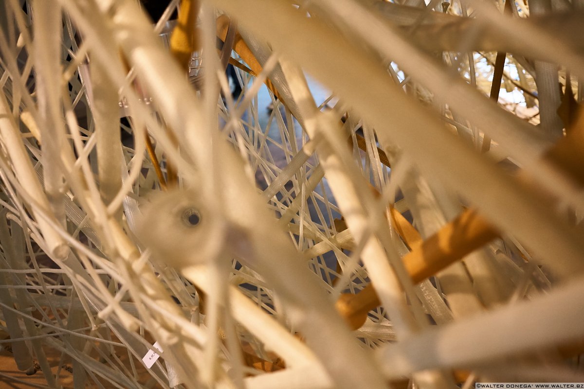 Foto racconto della Biennale di Architettura 2016: Reporting from the front
