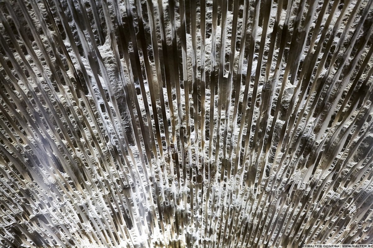 Foto racconto della Biennale di Architettura 2016: Reporting from the front