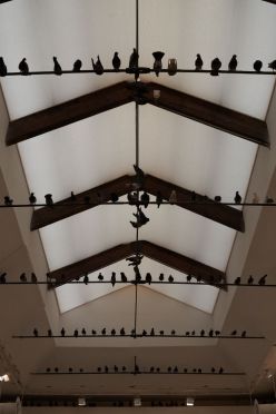 Biennale d'Arte Venezia 2011