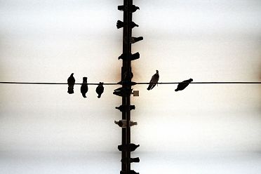 Arte e Architettura