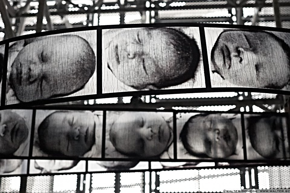 25 Biennale d'Arte Venezia 2011