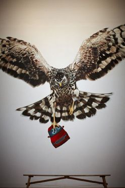 Biennale d'Arte Venezia 2013