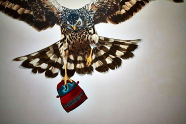 Biennale d'Arte Venezia 2013