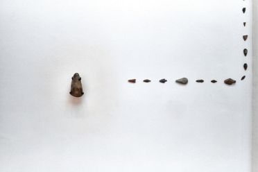 Biennale d'Arte Venezia 2013
