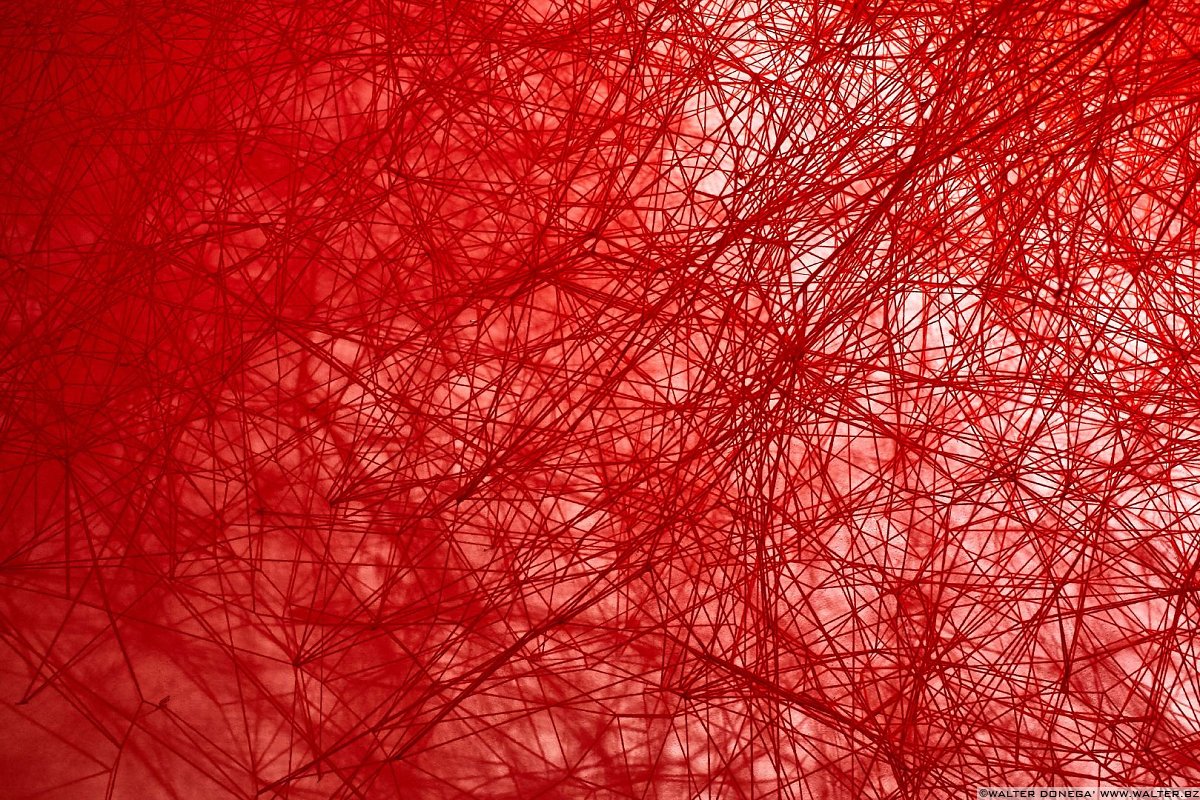 Frammenti di Biennale d'Arte 2015 Venezia